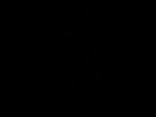 l.l