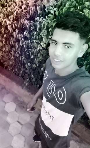 Ahmed M Hamouda