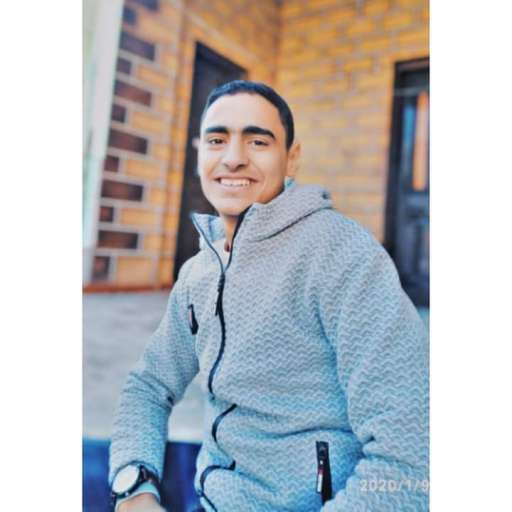 Sayed Abd Elmaged