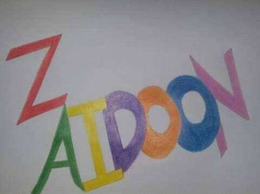 Zaidoon