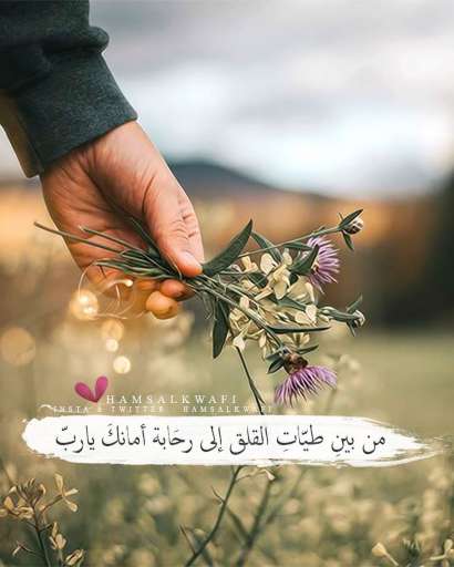 Abdo Hag Mousa