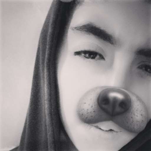 Majd th