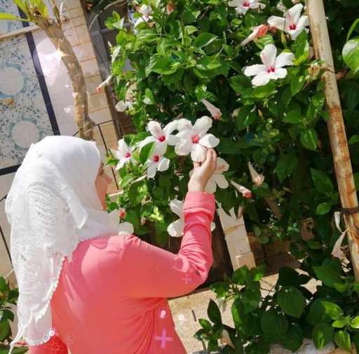 Marwa Alsalkini