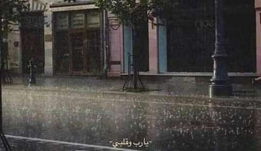 doaa. Mohammed