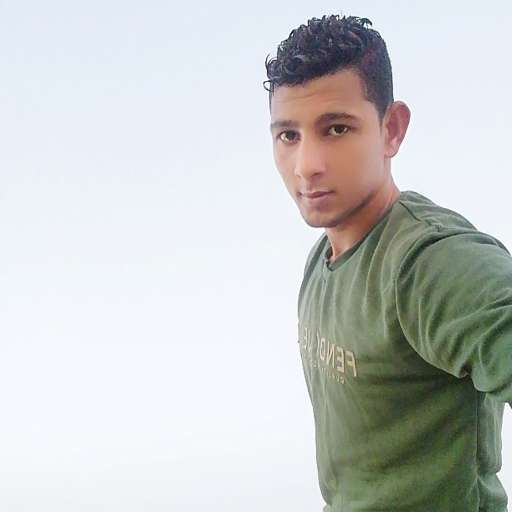 Mohmed Elbassiouny
