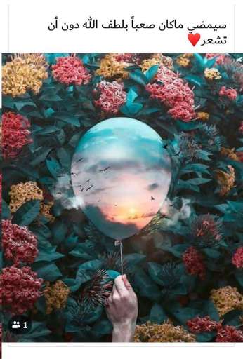 Safy Ibrahem