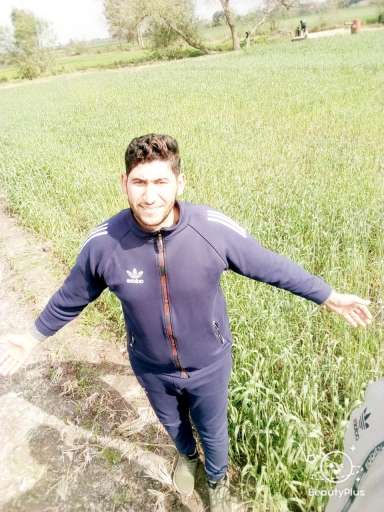 محمد عبد الحميد