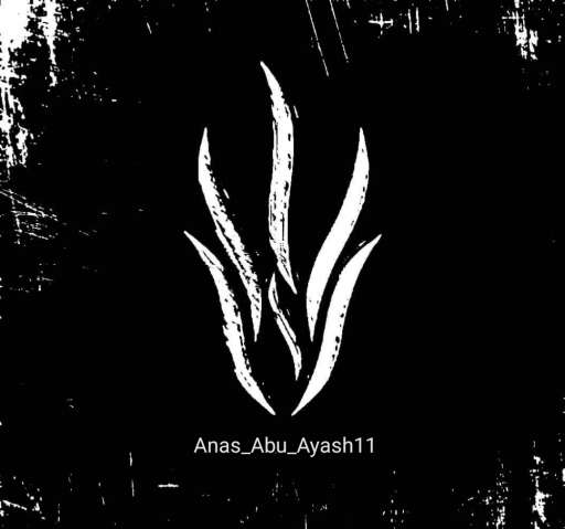 Anas Abu Ayash