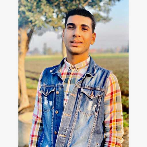 محمد الحنطور