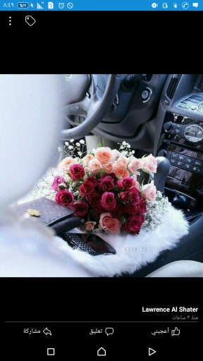 علياء عليان ابو تايه