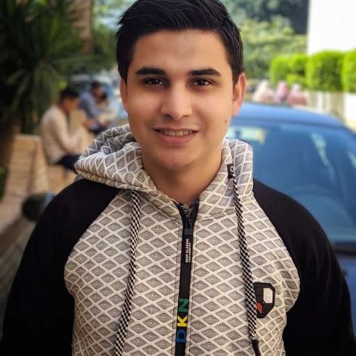 Mostafa El Sharkawy
